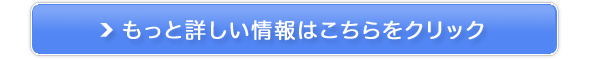 ���I90�I�x�W���C�t�y�f�t�̔��T�C�g��